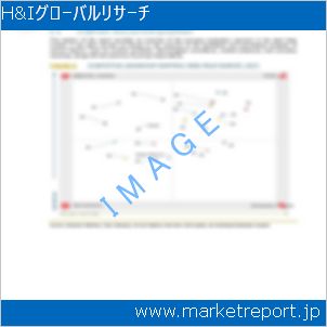 市場と産業調査レポートのイメージ